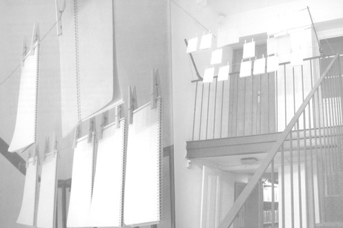 Cartel de Volta de Fulls - Eugènia Balcells