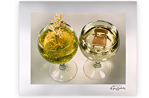 Brindis - Eugènia Balcells